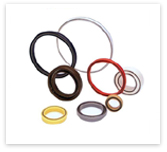 Oil Seals
