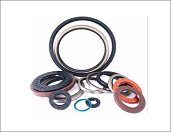 Oil Seals1