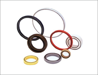 Oil Seals2