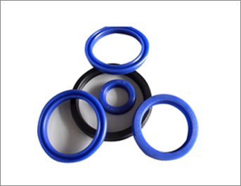 Oil Seals4