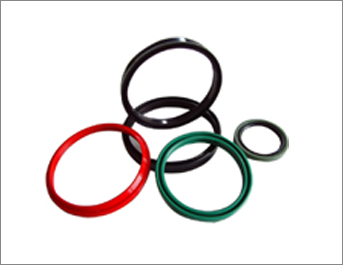 Oil Seals5